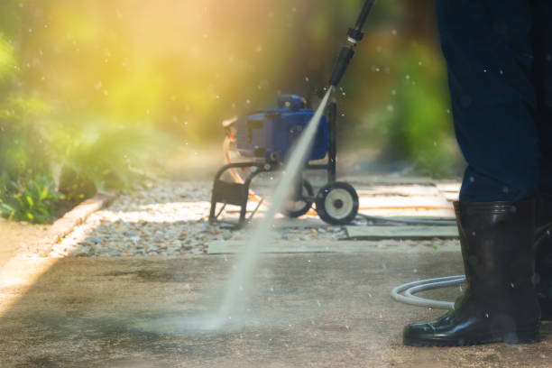 Animal Enclosure Cleaning in North Brooksville, FL
